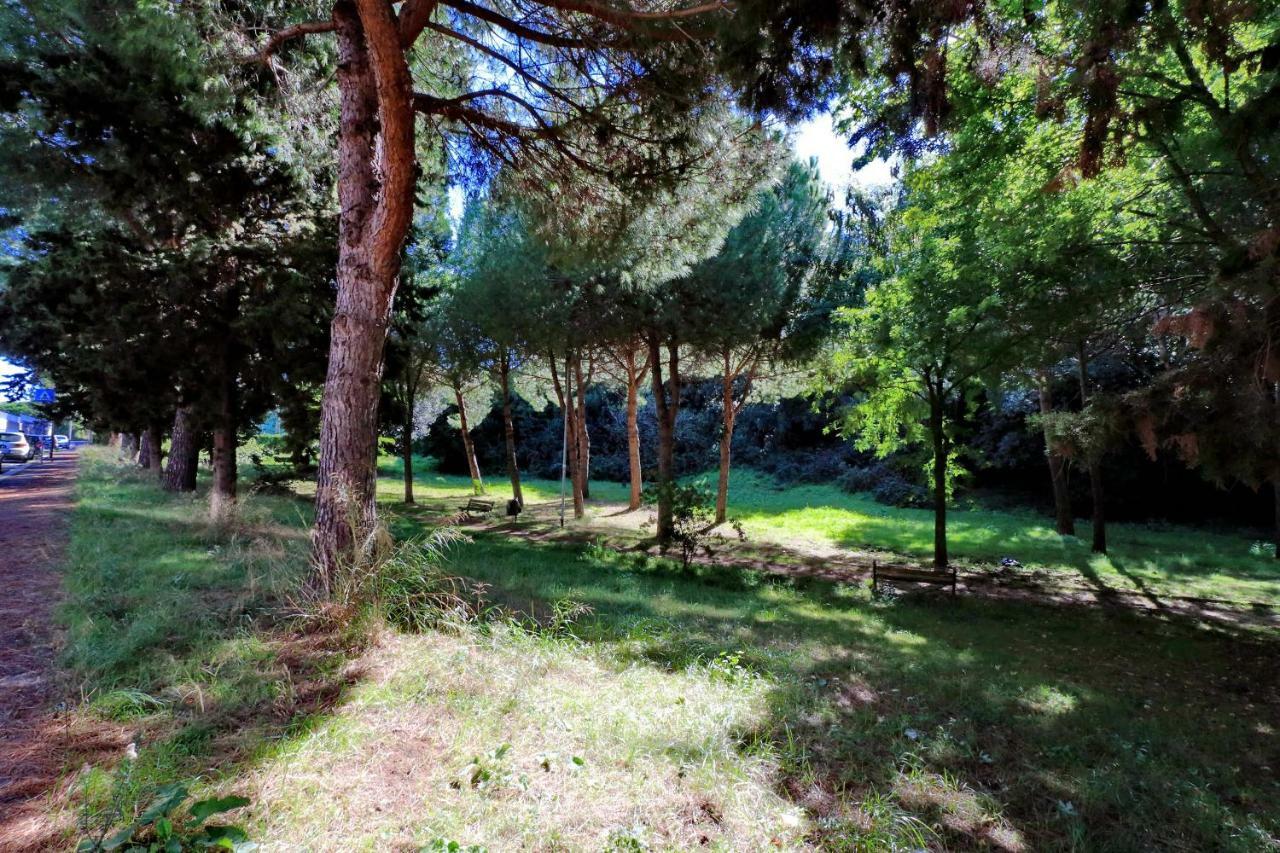 Apartamento Aurelia Relax